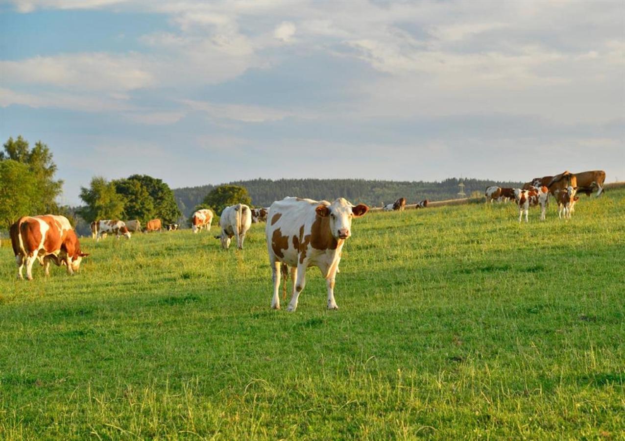 Ferienhof Kuerschner Drebach 외부 사진